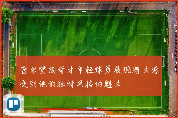 普尔赞扬奇才年轻球员展现潜力感受到他们独特风格的魅力